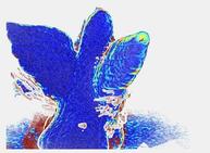 Figure 30