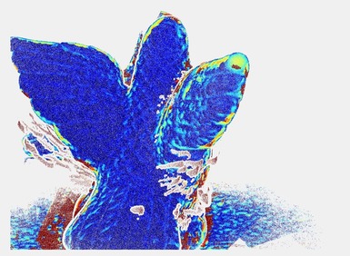 Figure 31