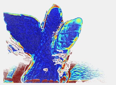 Figure 32