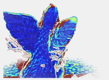 Figure 33