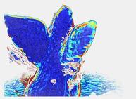 Figure 34