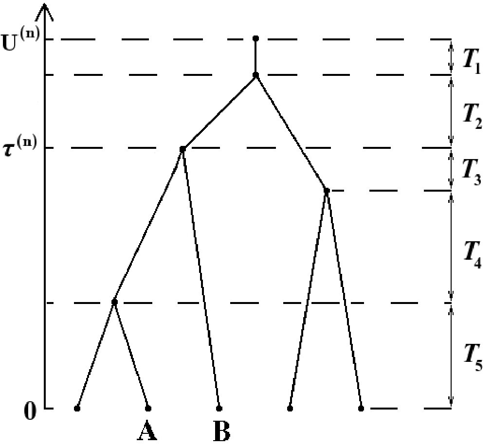 Figure 8