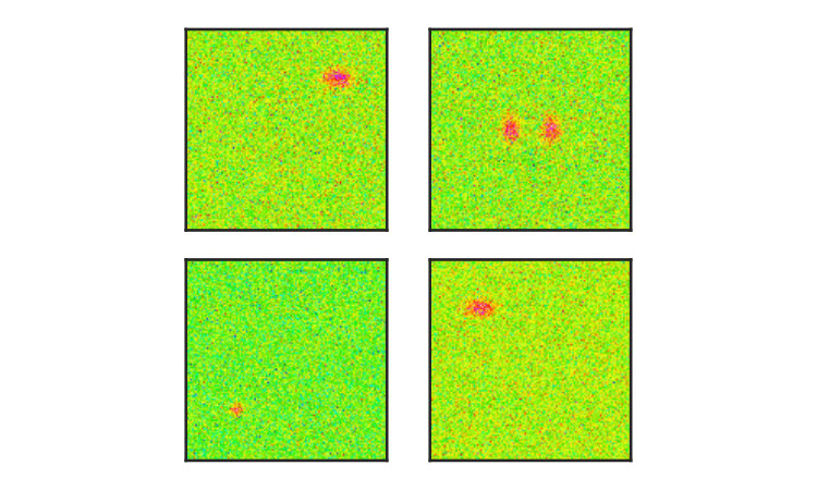 Figure 24