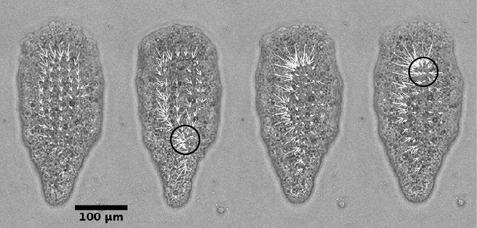 Figure 12