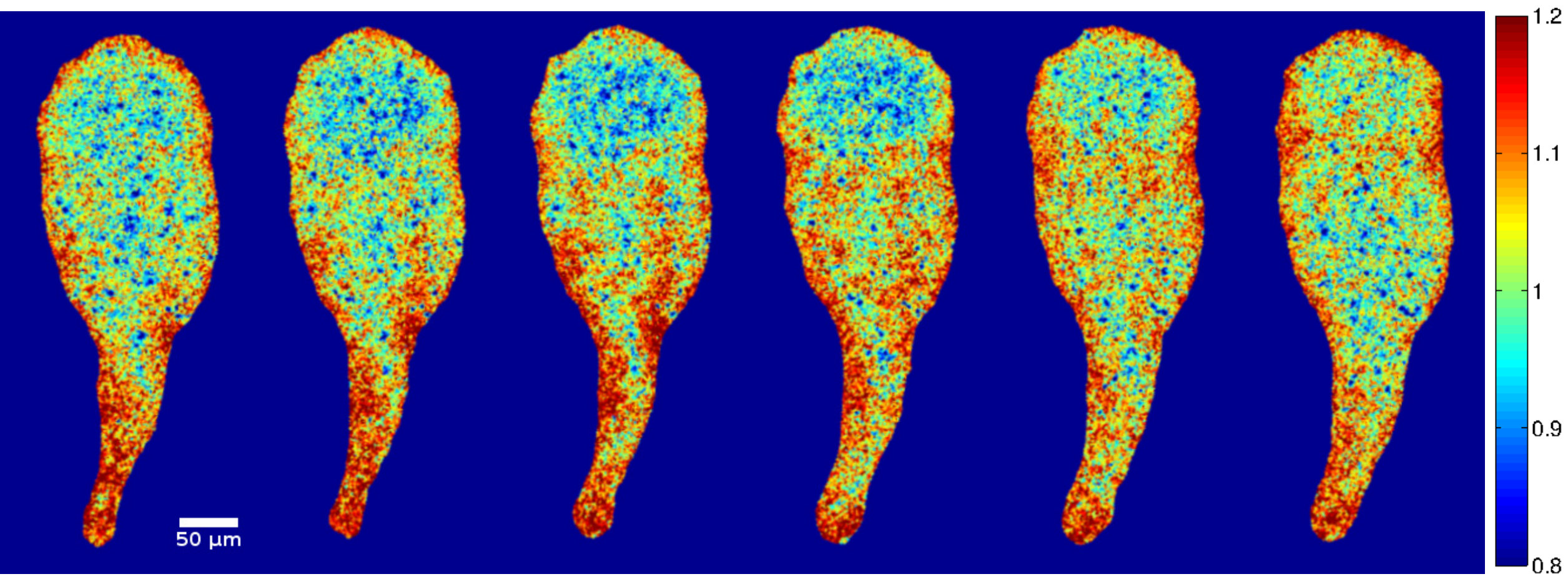Figure 13