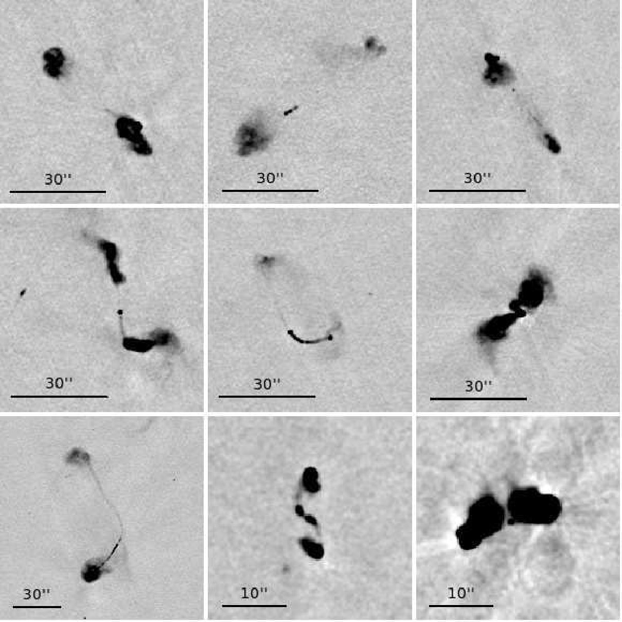 Figure 9