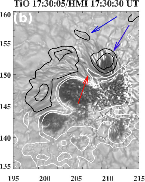Figure 13