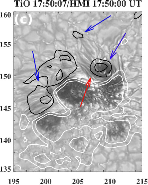 Figure 13