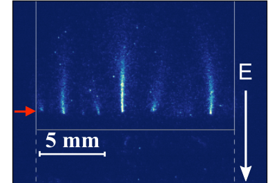 Figure 19