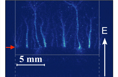 Figure 20