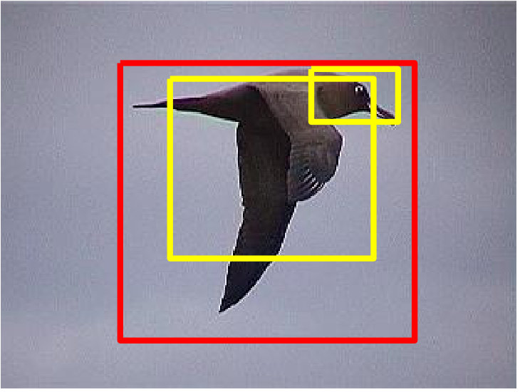 Figure 8