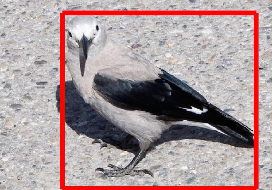 Figure 21