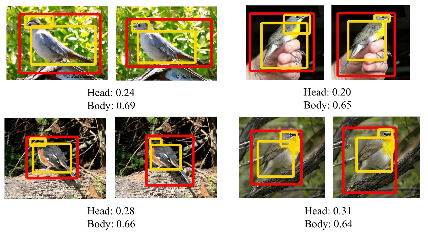 Figure 32