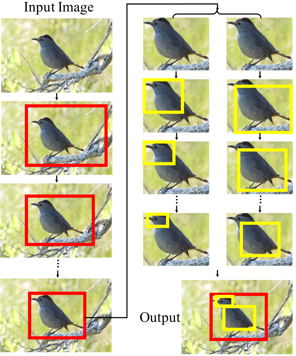 Figure 33