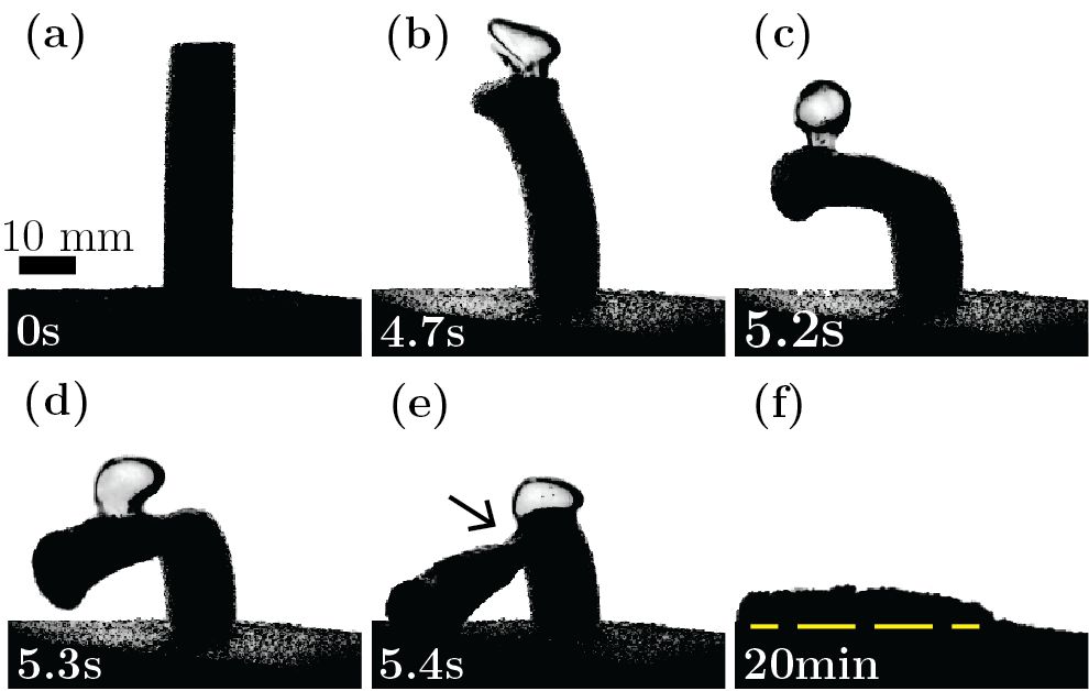 Figure 9