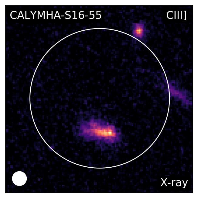 Figure 20