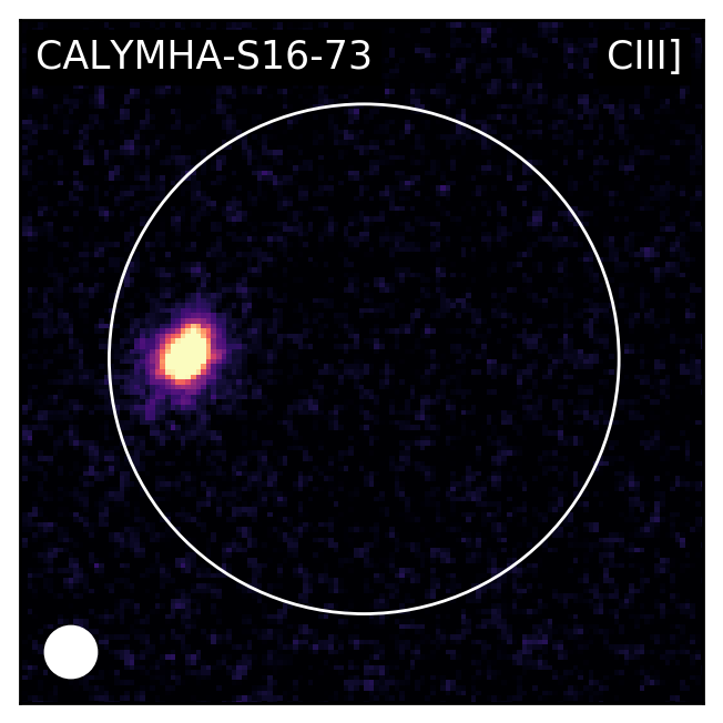 Figure 21