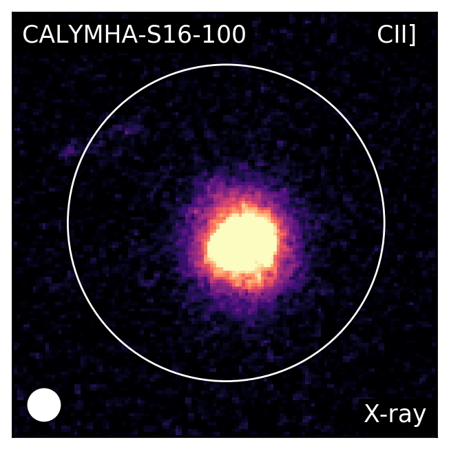 Figure 22