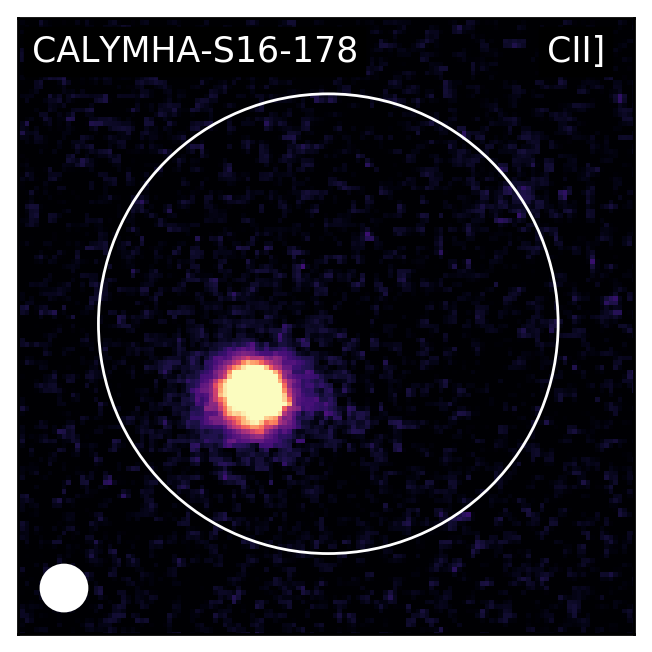Figure 24