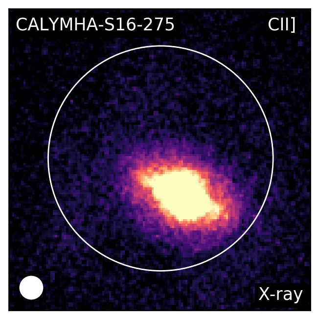 Figure 29