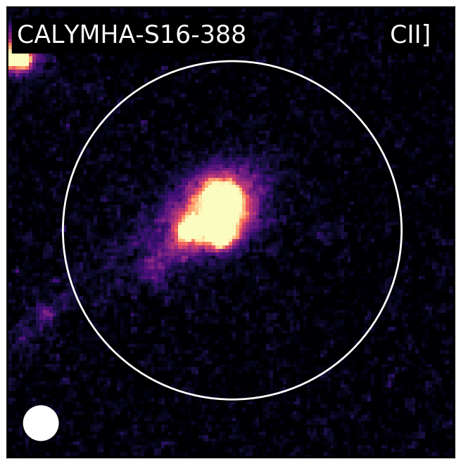 Figure 30