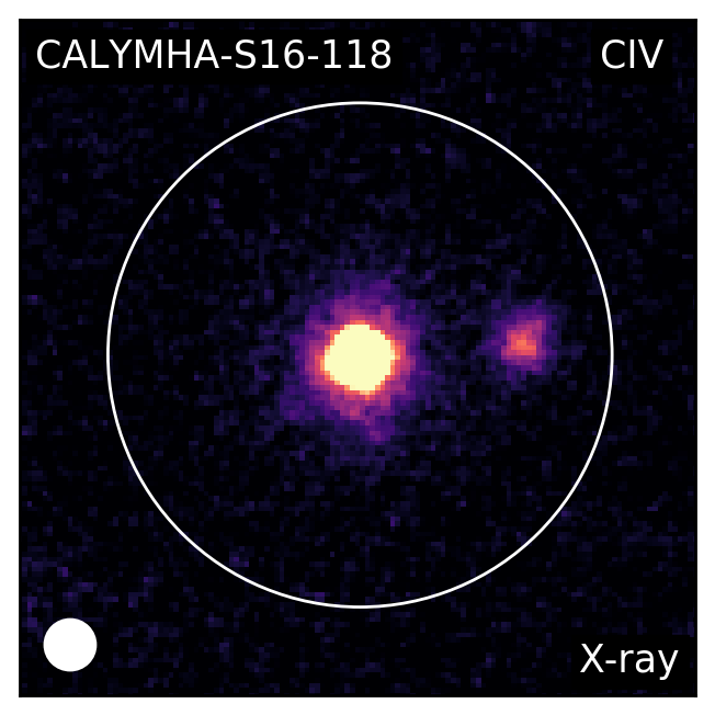 Figure 34