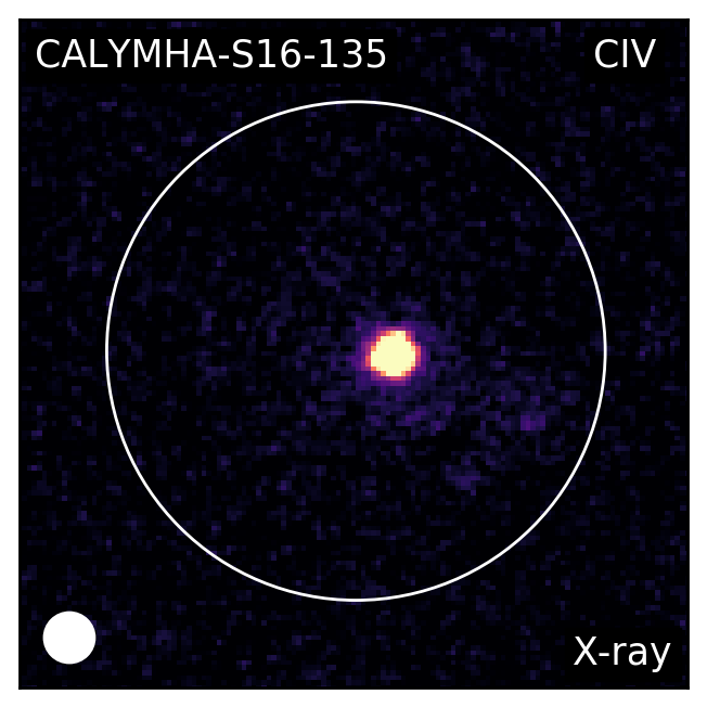 Figure 35