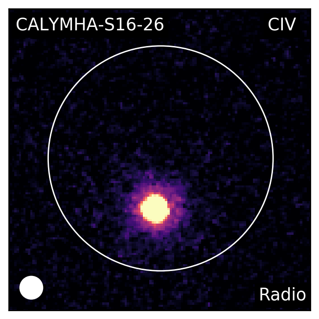 Figure 38