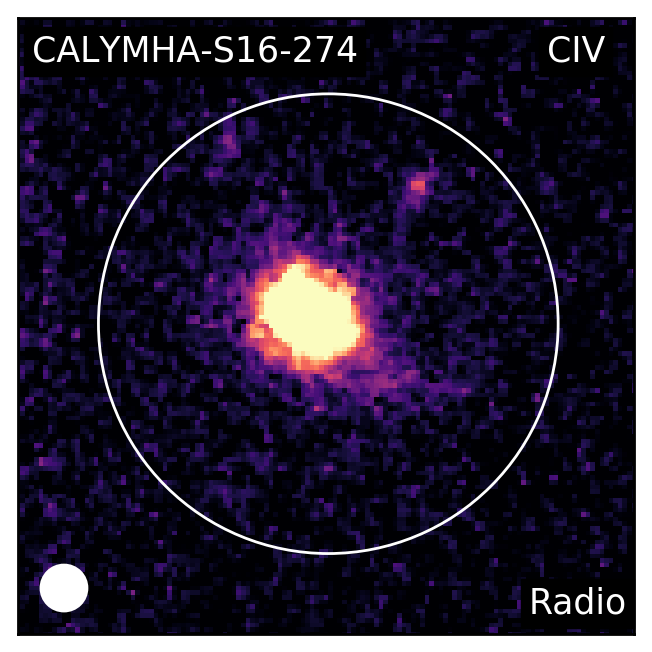 Figure 39