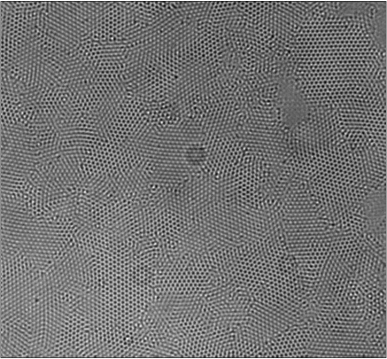 Figure 17