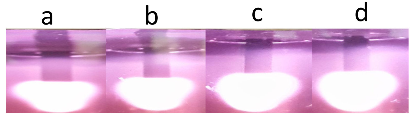 Figure 15