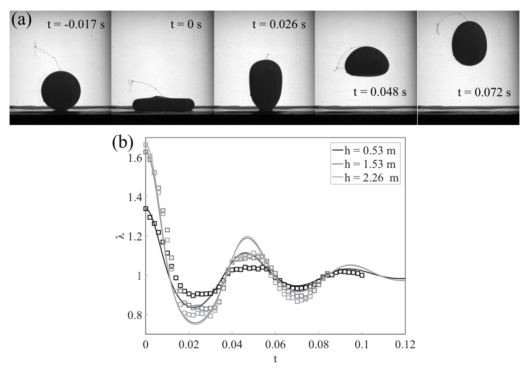 Figure 7
