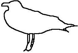 Figure 22