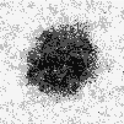 Figure 31