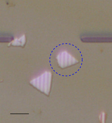 Figure 9