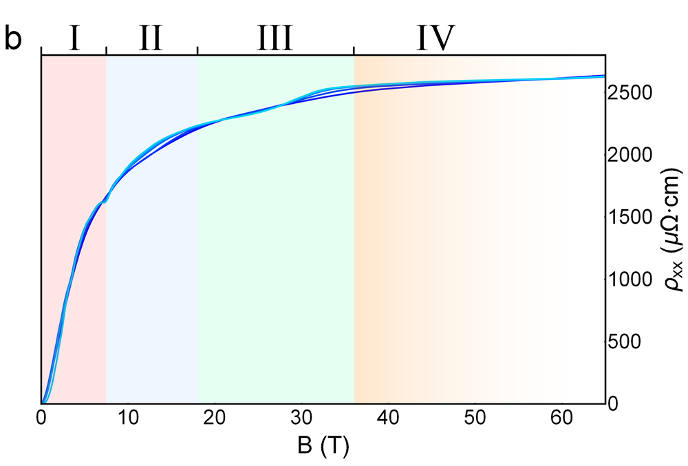 Figure 28