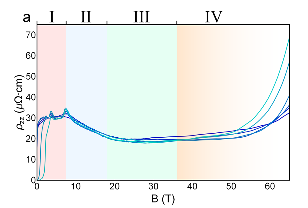 Figure 29