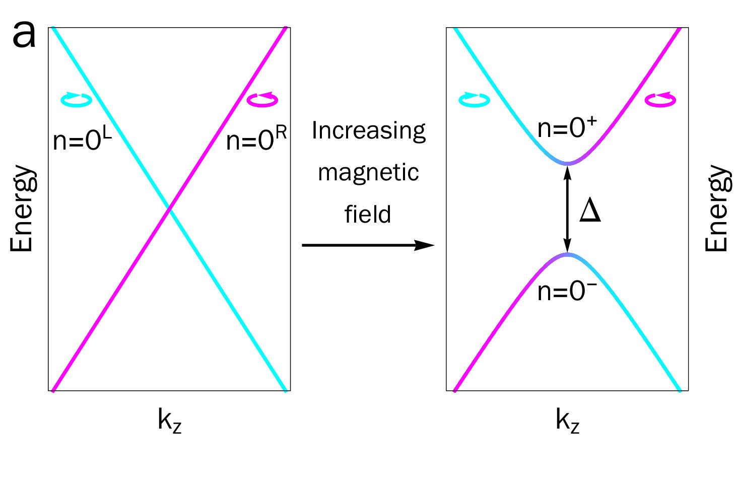 Figure 30