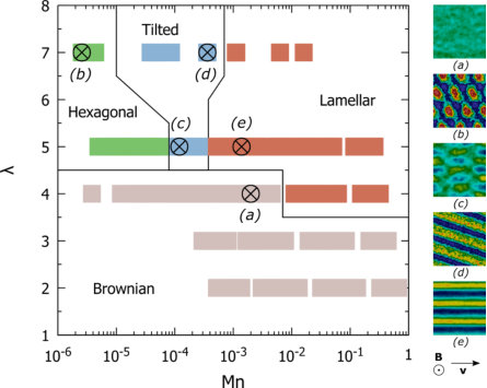 Figure 17