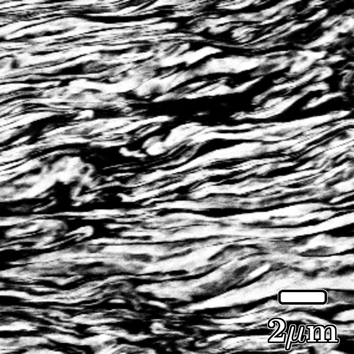Figure 8