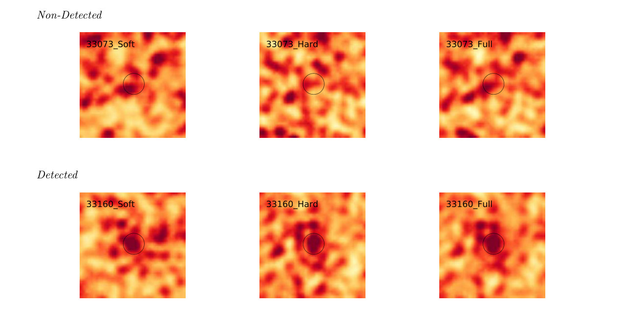 Figure 19