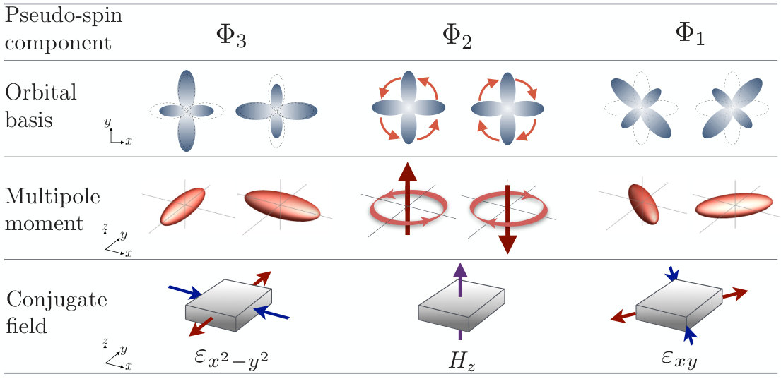 Figure 8