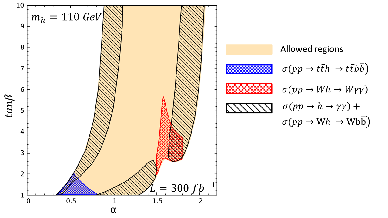 Figure 19