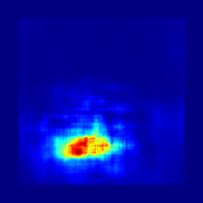Figure 31