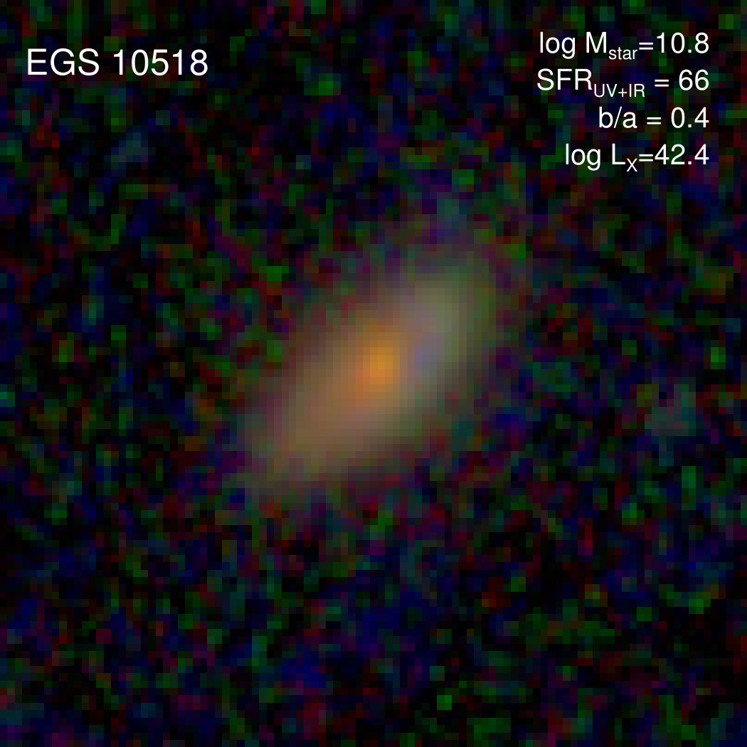 Figure 33
