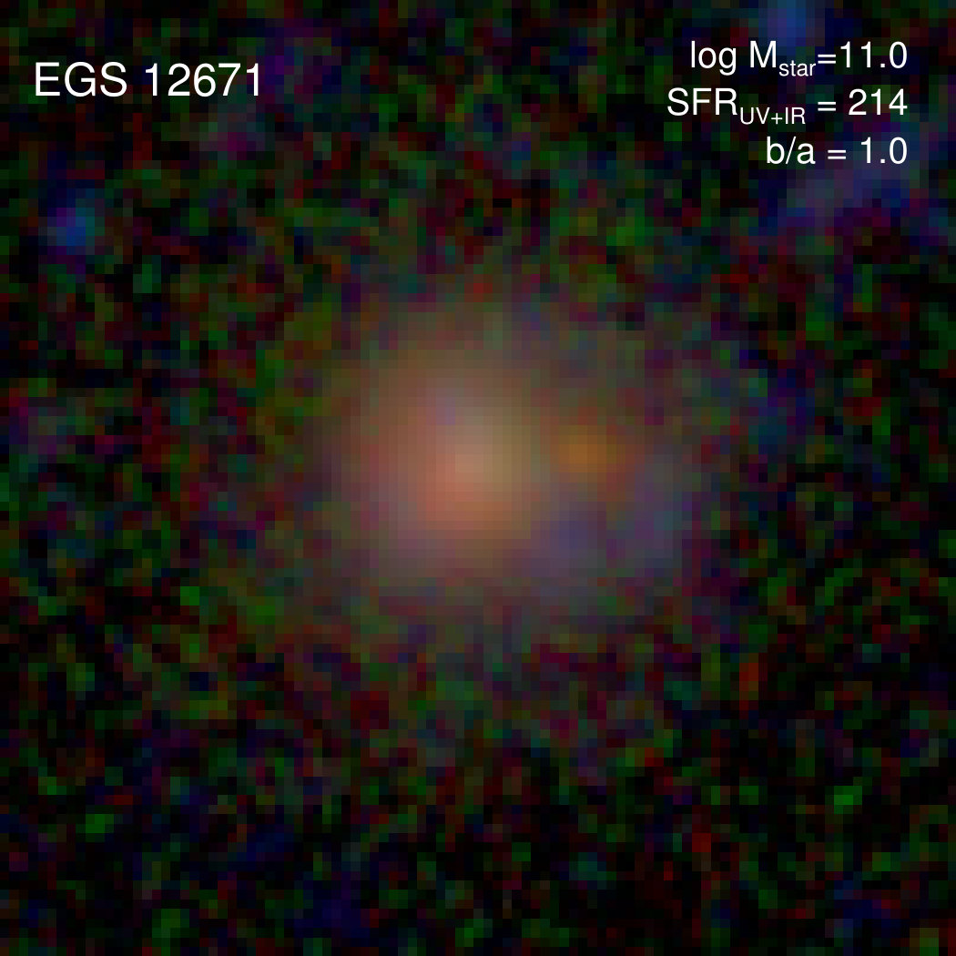 Figure 34