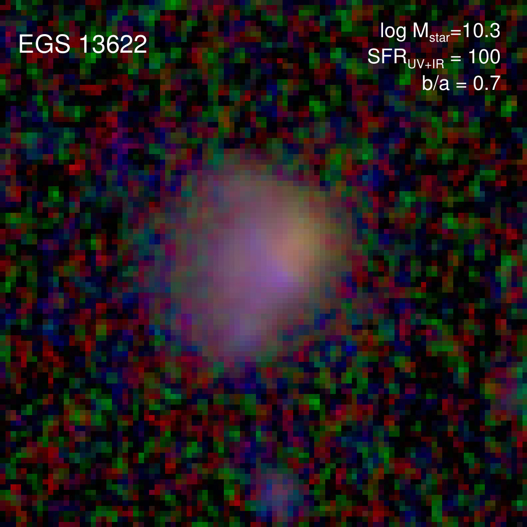 Figure 35