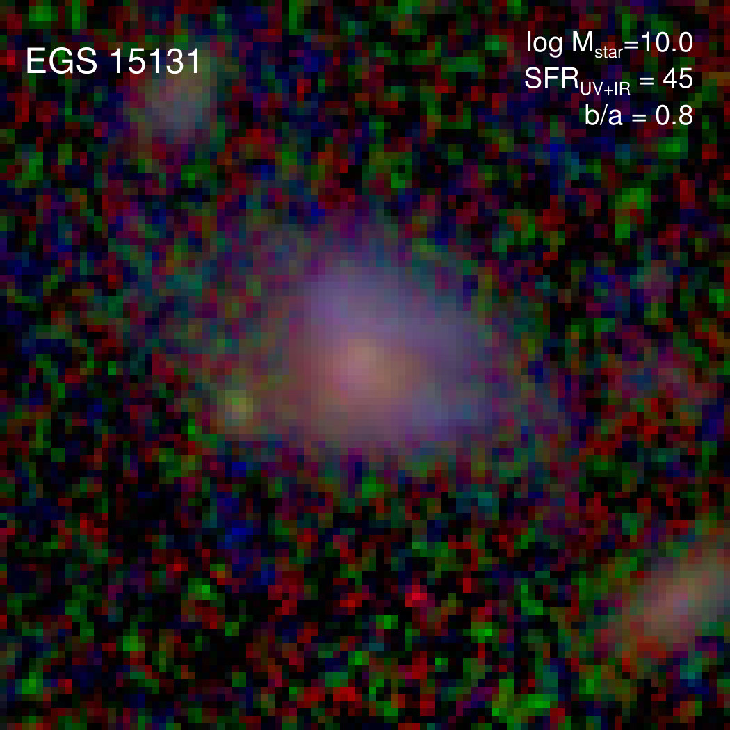 Figure 36