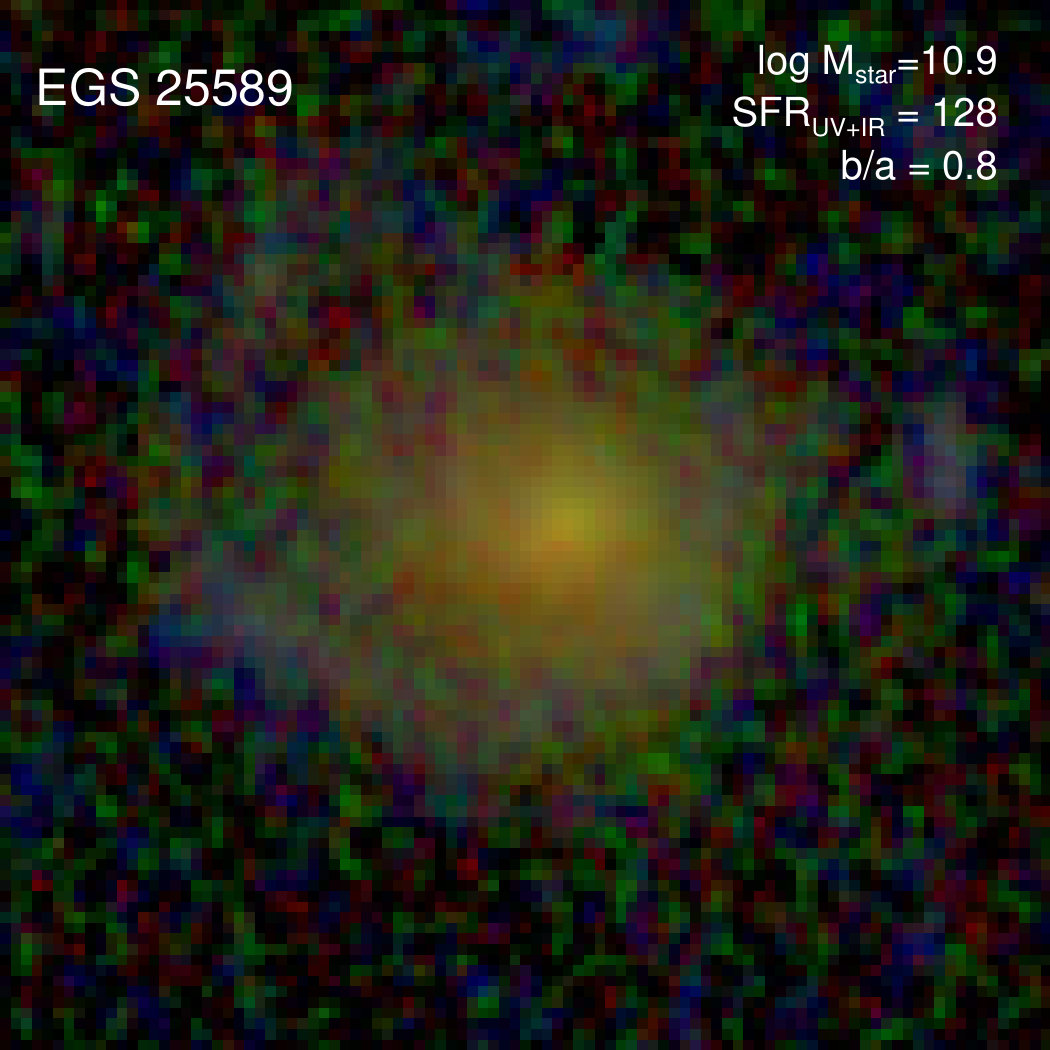 Figure 37