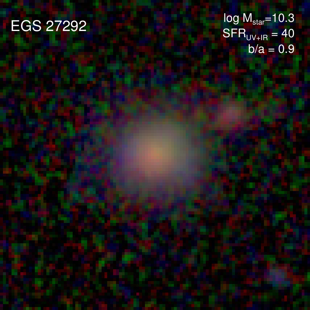 Figure 38